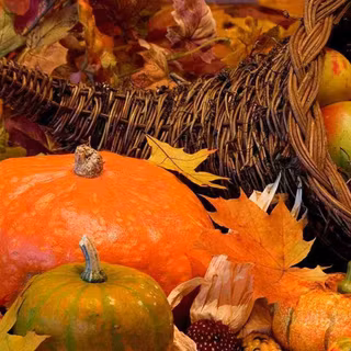 Thanksgiving fall iPhone wallpaper
