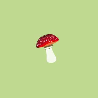 Amanita wallpaper