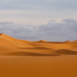 4k Sahara wallpaper