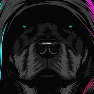 Black dog 4k wallpaper