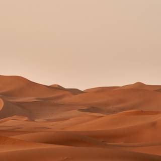 4k Sahara wallpaper