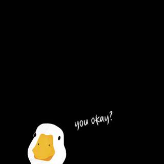 Duck phone wallpaper