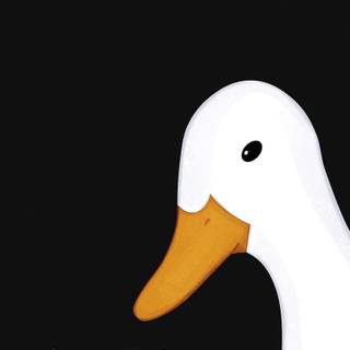 Duck phone wallpaper