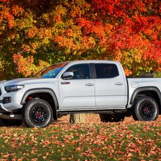 Tacoma 4k wallpaper