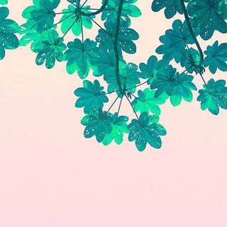 Minimalist aesthetic phone wallpaper