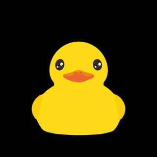 Duck phone wallpaper