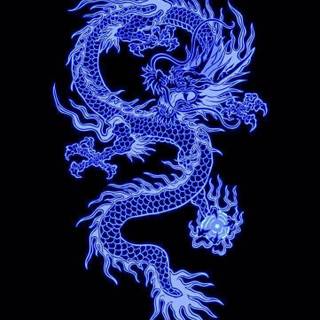 Chinese dragon phone wallpaper