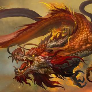 Chinese dragon red wallpaper