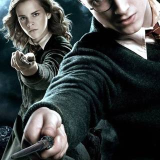 Harry Potter portrait wallpaper