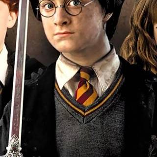 Harry Potter portrait wallpaper