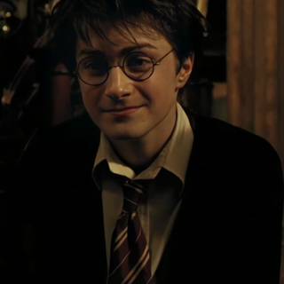 Harry Potter portrait wallpaper