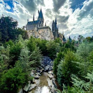 Harry Potter portrait wallpaper