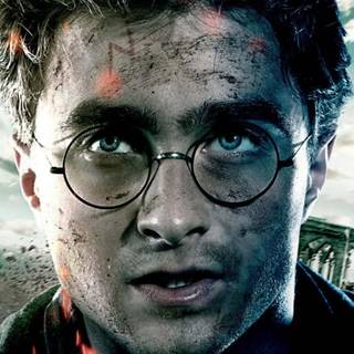 Harry Potter portrait wallpaper