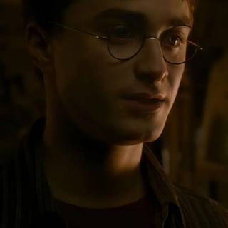 Harry Potter portrait wallpaper