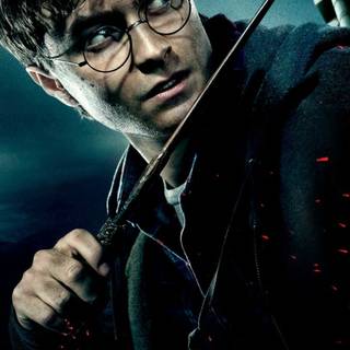 Harry Potter portrait wallpaper