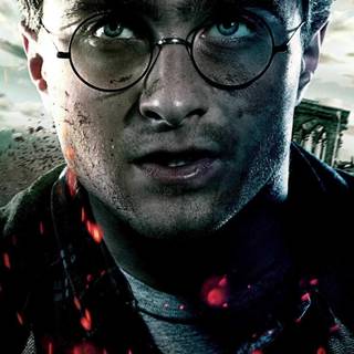 Harry Potter portrait wallpaper