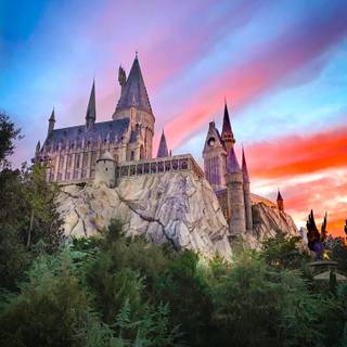 Harry Potter portrait wallpaper