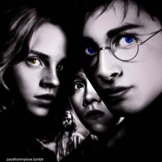 Harry Potter portrait wallpaper