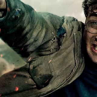 Harry Potter portrait wallpaper