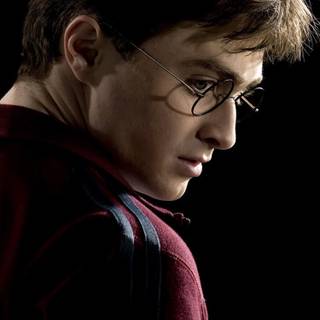 Harry Potter portrait wallpaper