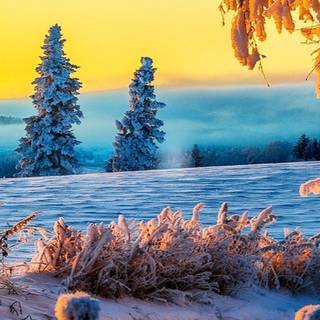 Snow 4k mobile wallpaper