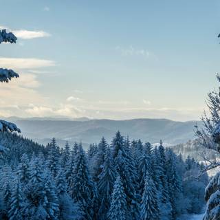 4k winter scenery wallpaper