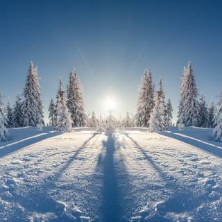 Winter season 8k wallpaper