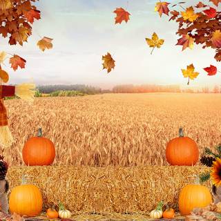 Thanksgiving harvest wallpaper