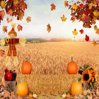 Thanksgiving harvest wallpaper