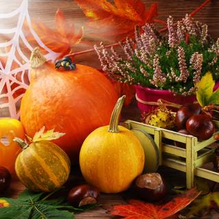 Thanksgiving harvest wallpaper