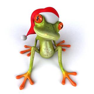 Frog Christmas wallpaper