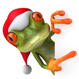 Frog Christmas wallpaper