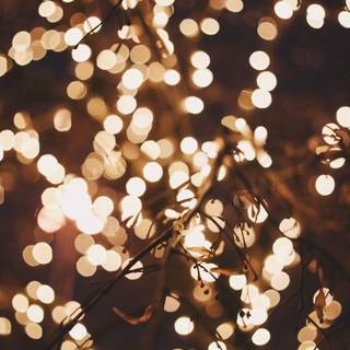 Christmas ligths wallpaper