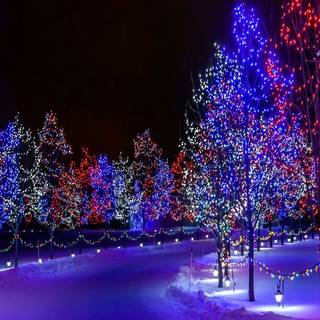 Christmas ligths wallpaper