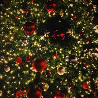 Christmas ligths wallpaper