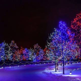Christmas ligths wallpaper