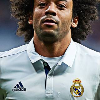 Marcelo Real Madrid wallpaper