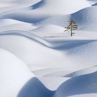 Clean 1920x1080 wallpaper