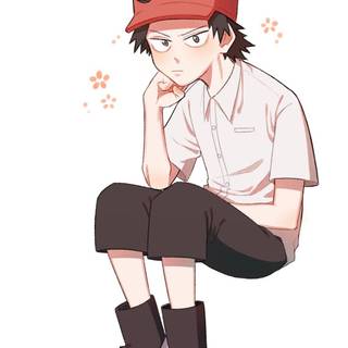 Kota Izumi wallpaper