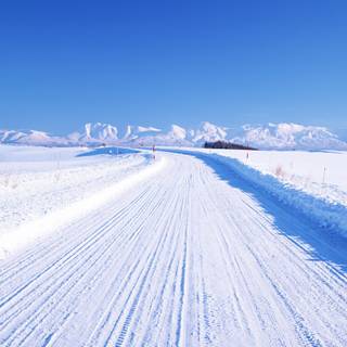 Winter Japan desktop wallpaper