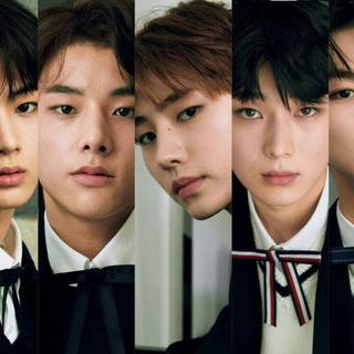 Enhypen HD wallpaper