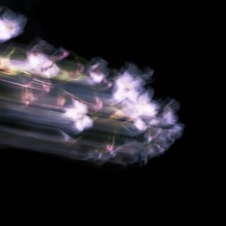 Y2k pink and black computer wallpaper