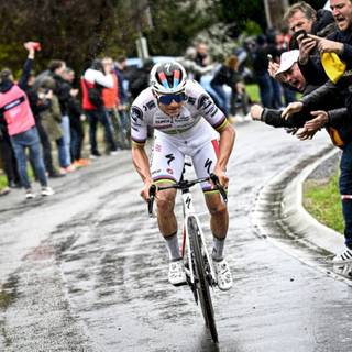 Remco Evenepoel wallpaper
