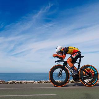 Remco Evenepoel wallpaper