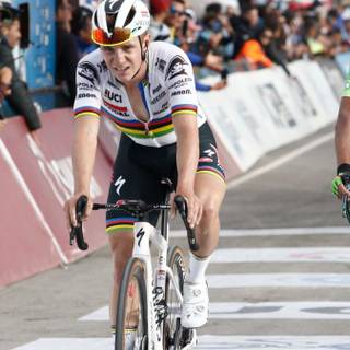 Remco Evenepoel wallpaper