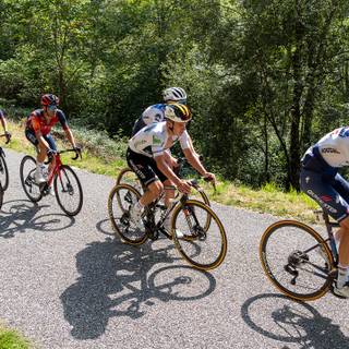 Remco Evenepoel wallpaper