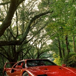Ferrari F355 iPhone wallpaper