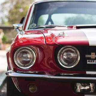 Mustang Eleanor iPhone HD wallpaper