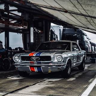 Mustang Eleanor iPhone HD wallpaper