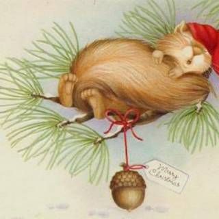 Christmas squirrel wallpaper